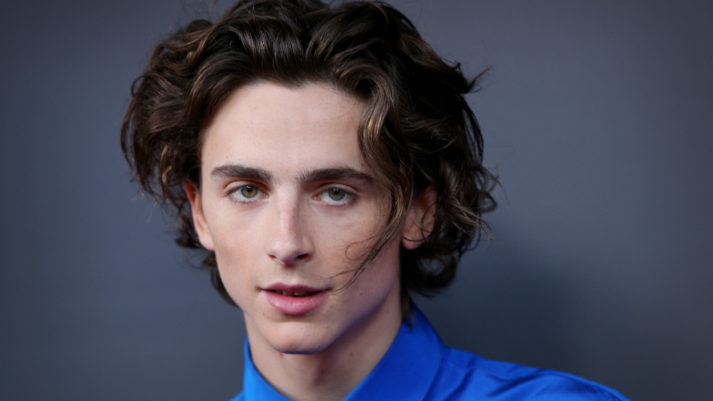 Timothée Chalamet