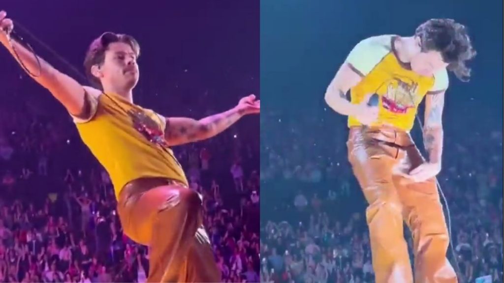 Harry Styles pantalones