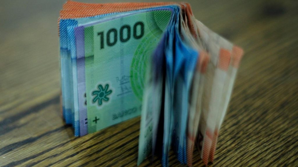 bonos ips consultar con rut