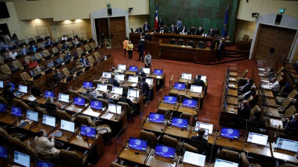 expertos constituyentes