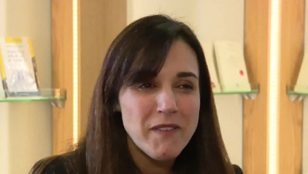 expertos constituyentes