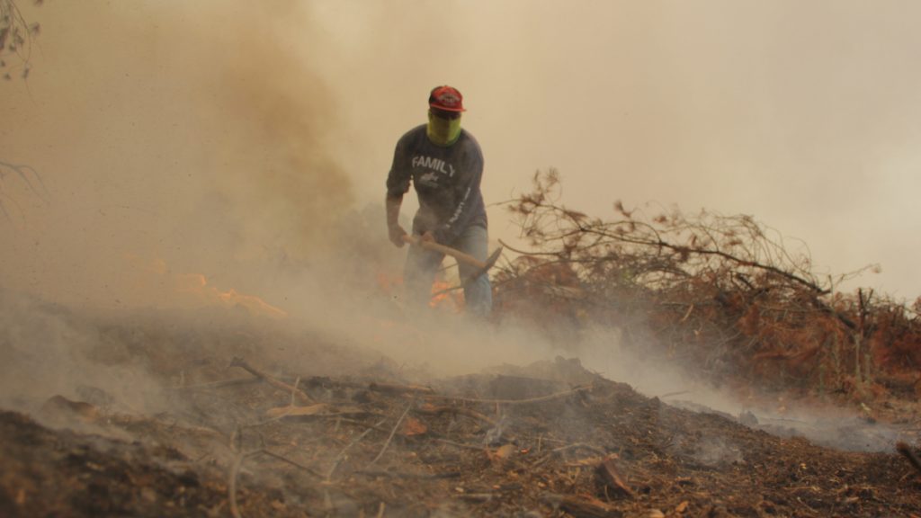 Bono incendios forestales A_UNO_1432652 web