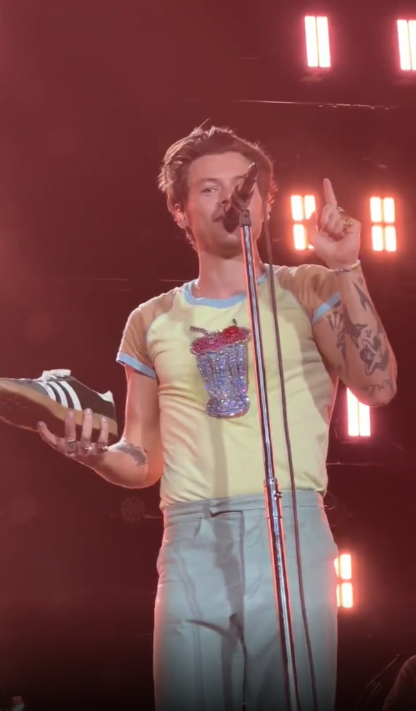 Harry Styles gira zapato