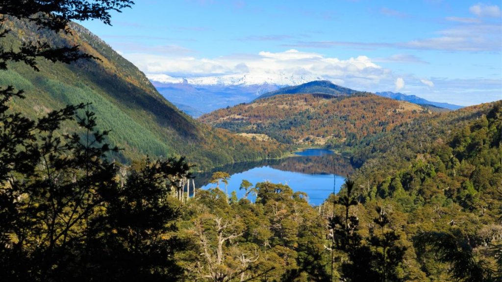 reservas nacionales incendio forestal