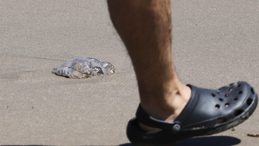 Fragata Portuguesa A_UNO_1340851 web