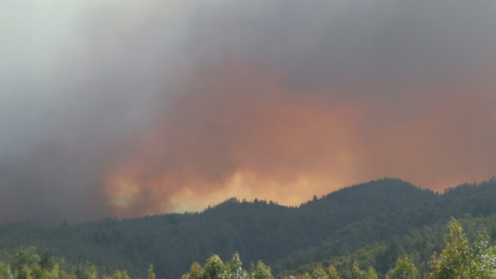 Incendio Michel De L'Herbe A_UNO_1434414 web