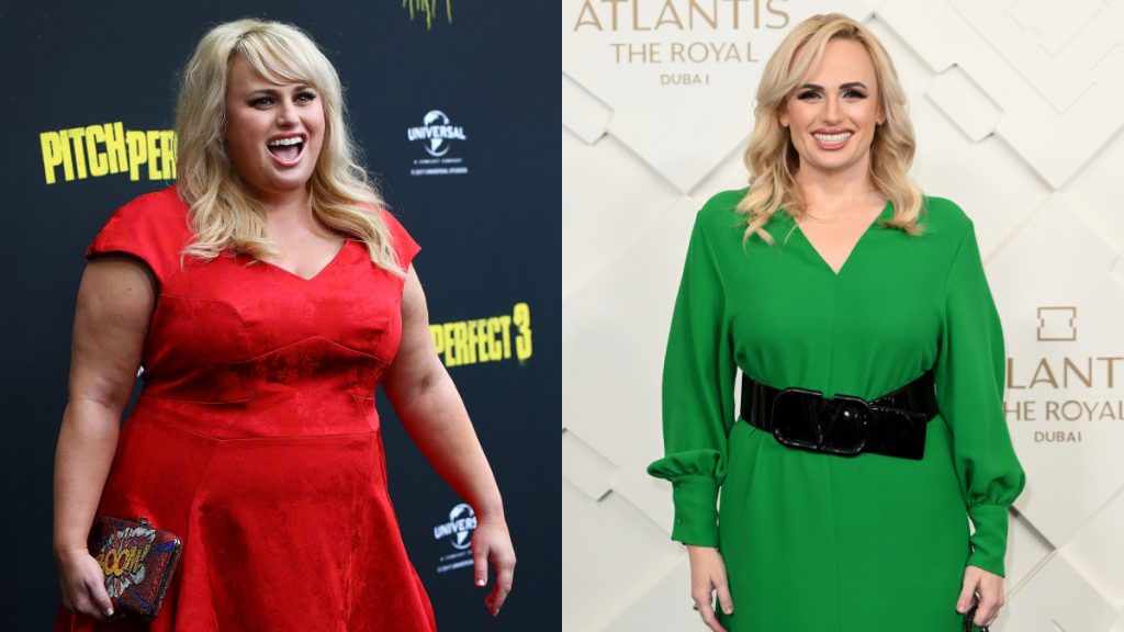 Rebel Wilson Pitch Perfect