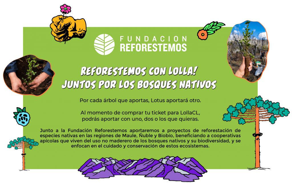 Lollapalooza Chile 2023 reforestación
