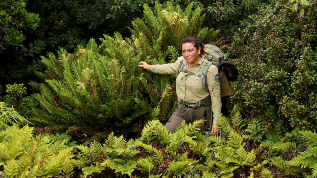 Angela guardaparques planta extinta web