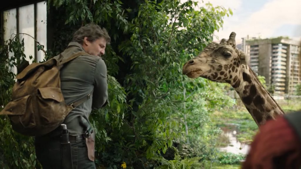 Jirafa The Last of Us
