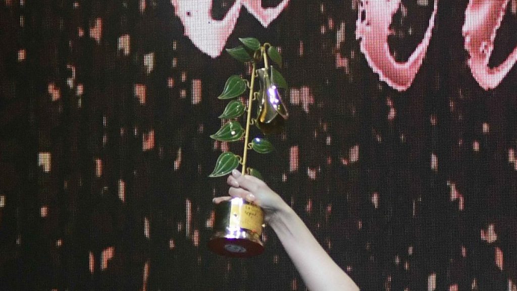 Copihue de oro 2023 lista de nominados y cómo votar