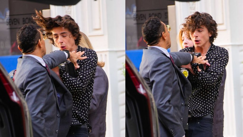 Timothée Chalamet New York