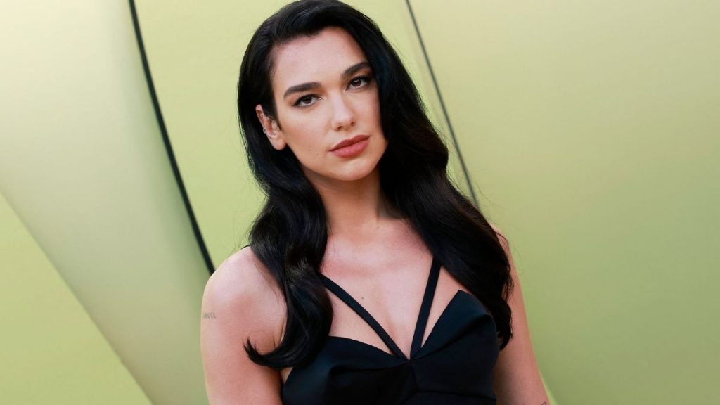 Dua Lipa novio