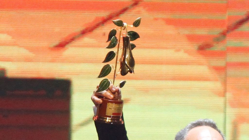 Copihue de oro 2023 lista de ganadores