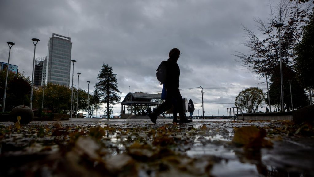 Fenómeno del niño web