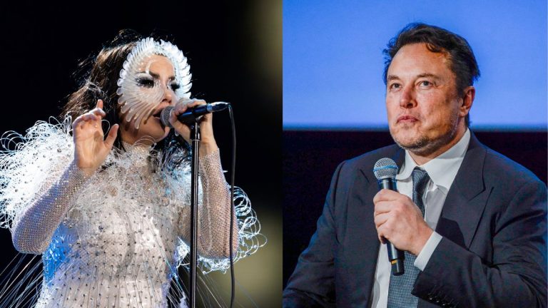 Björk Elon Musk