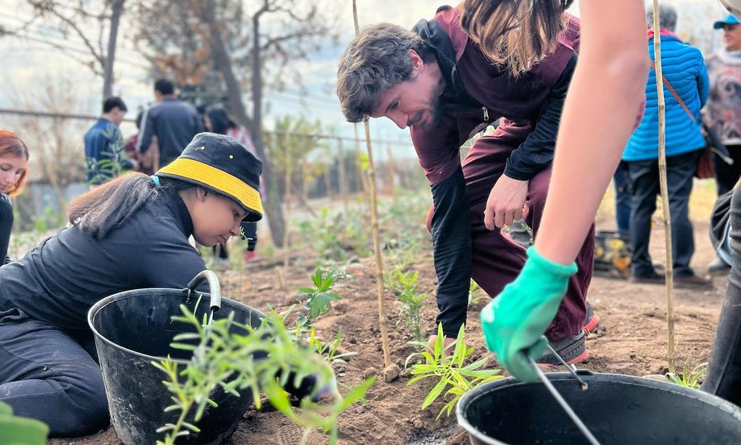 Niños plantando con método miyawaki