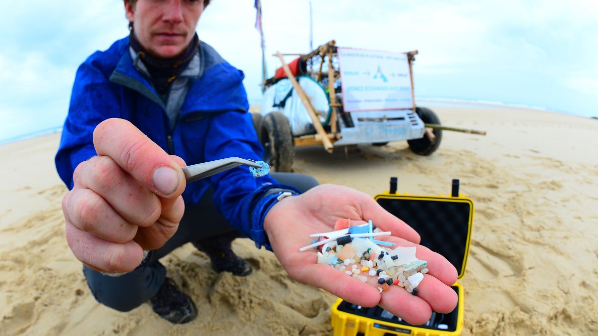 microplásticos tarjeta de crédito