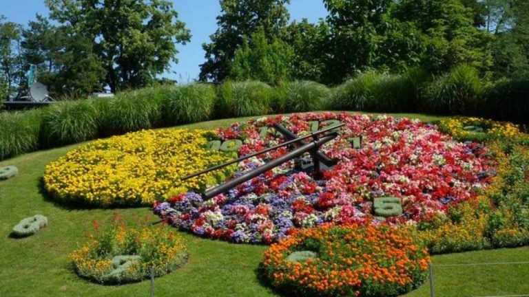 reloj de flores