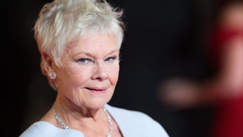 Judi Dench ceguera