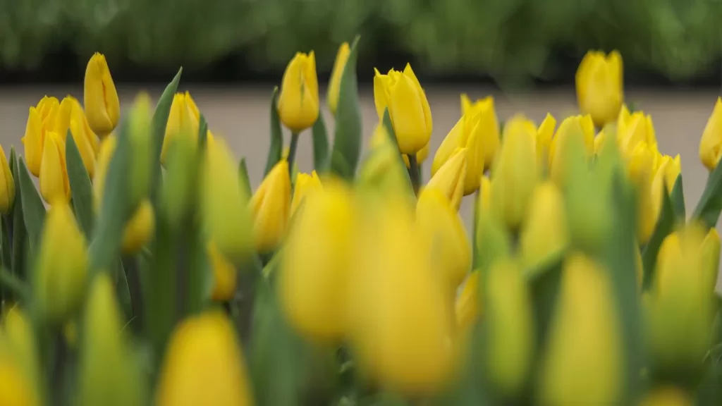 Primavera 21 septiembre A_UNO_1504194 web