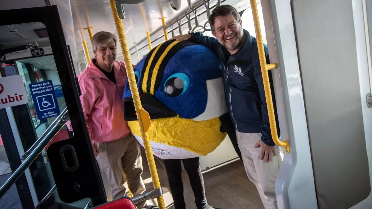 Fui buses de dos pisos