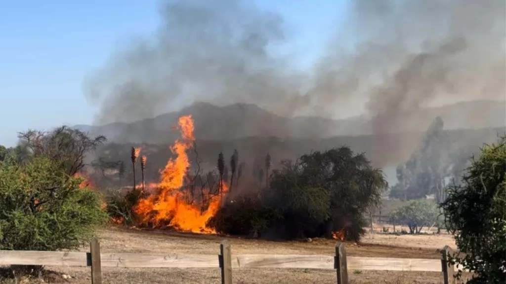 Incendio Forestal Limache A_UNO_1534758 web