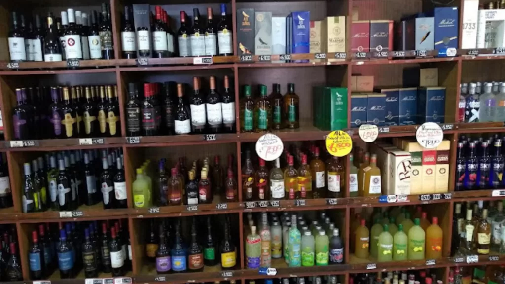 Plebiscito Constitucional 2023