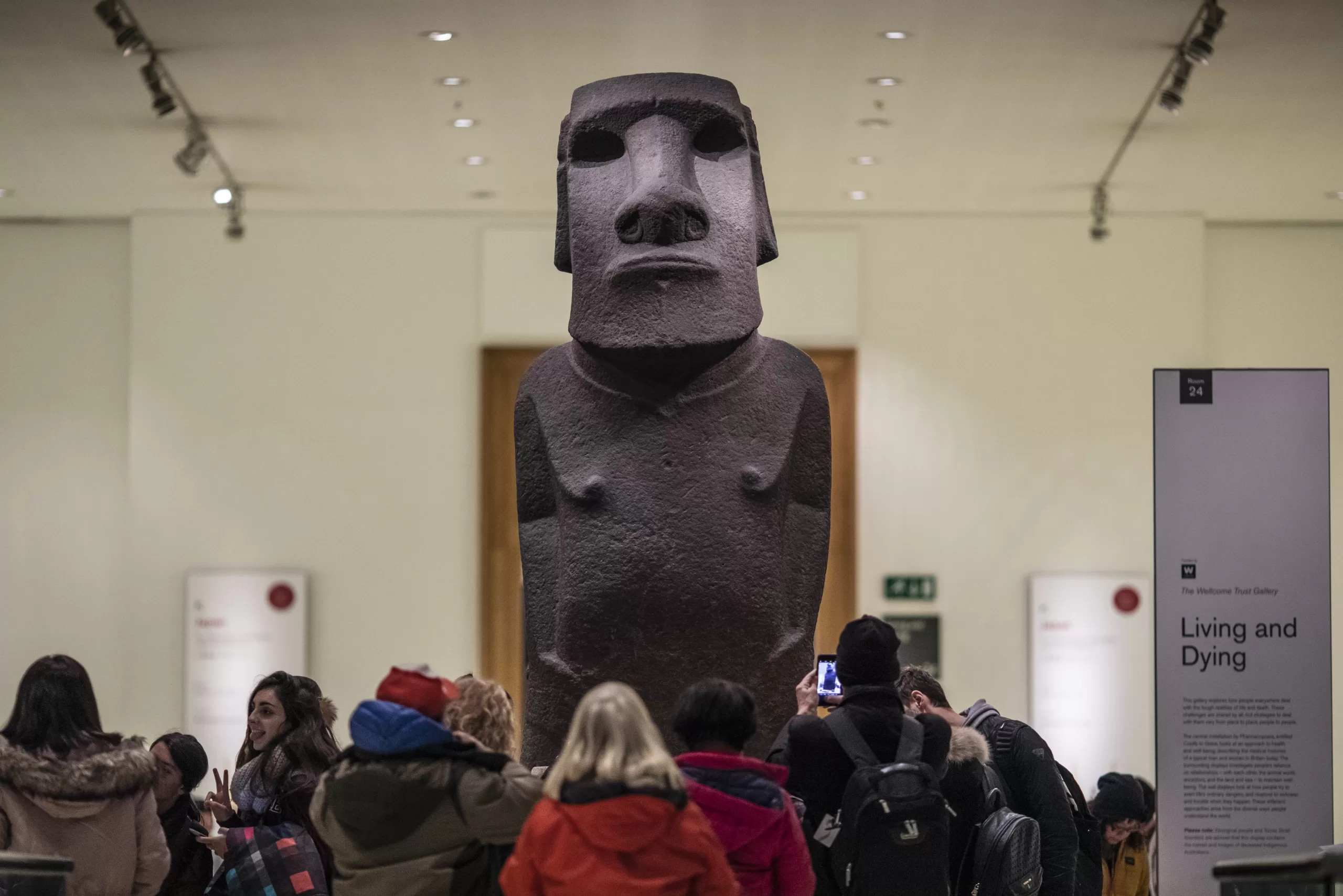 Moai en Muso Británivo. Foto: Getty Images