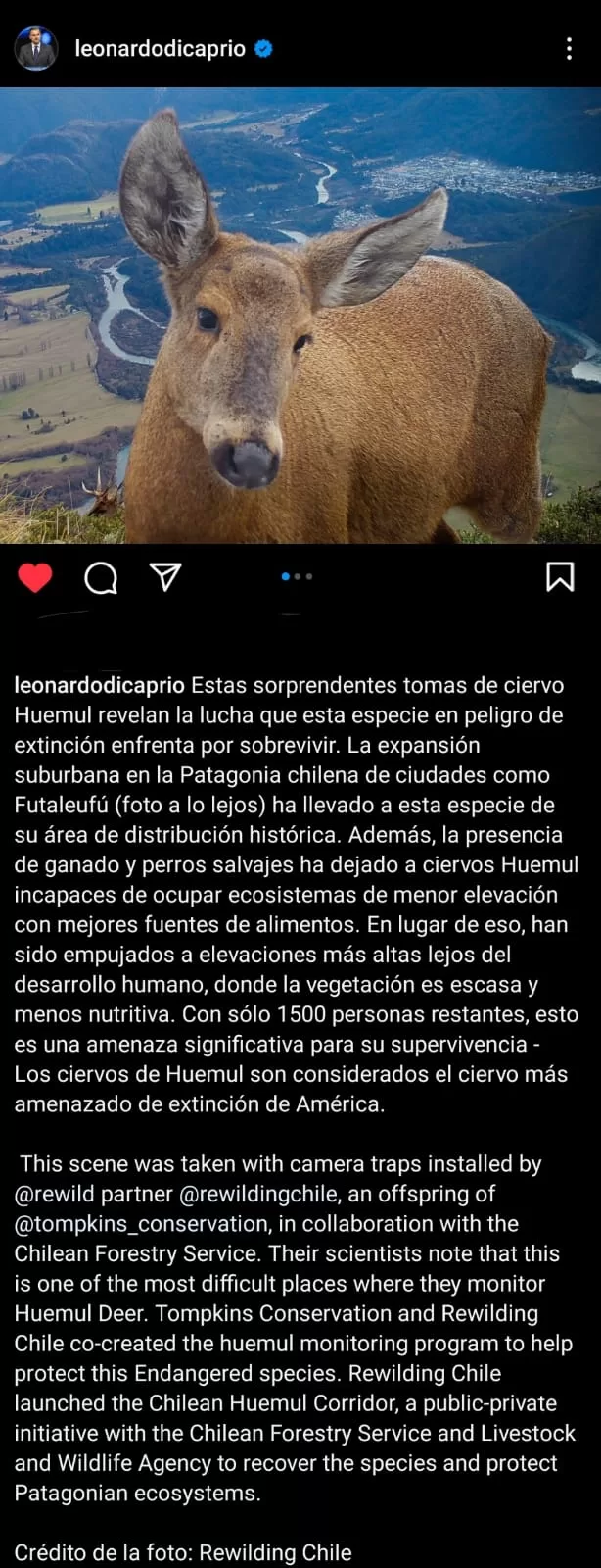 @leonardodicaprio