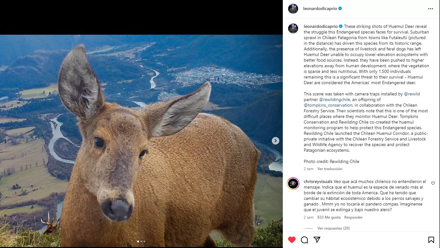 Huemul, @leonardodicaprio vía Instagram