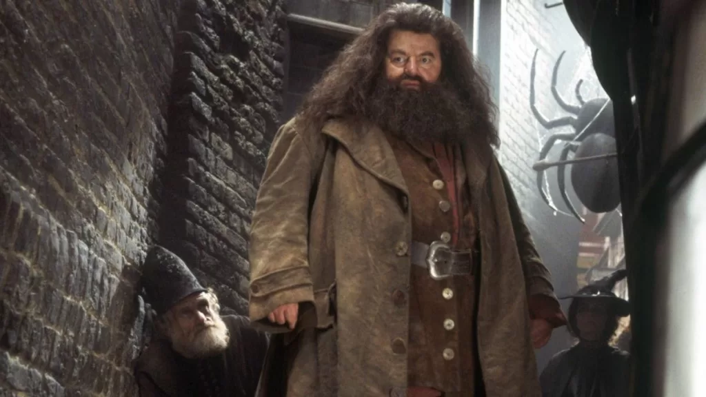 Hagrid Harry Potter