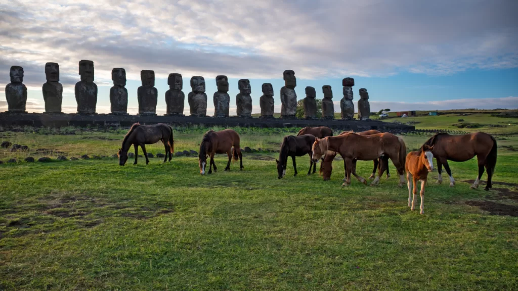 Rapa Nui