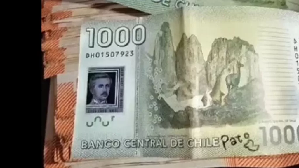 billete con pato