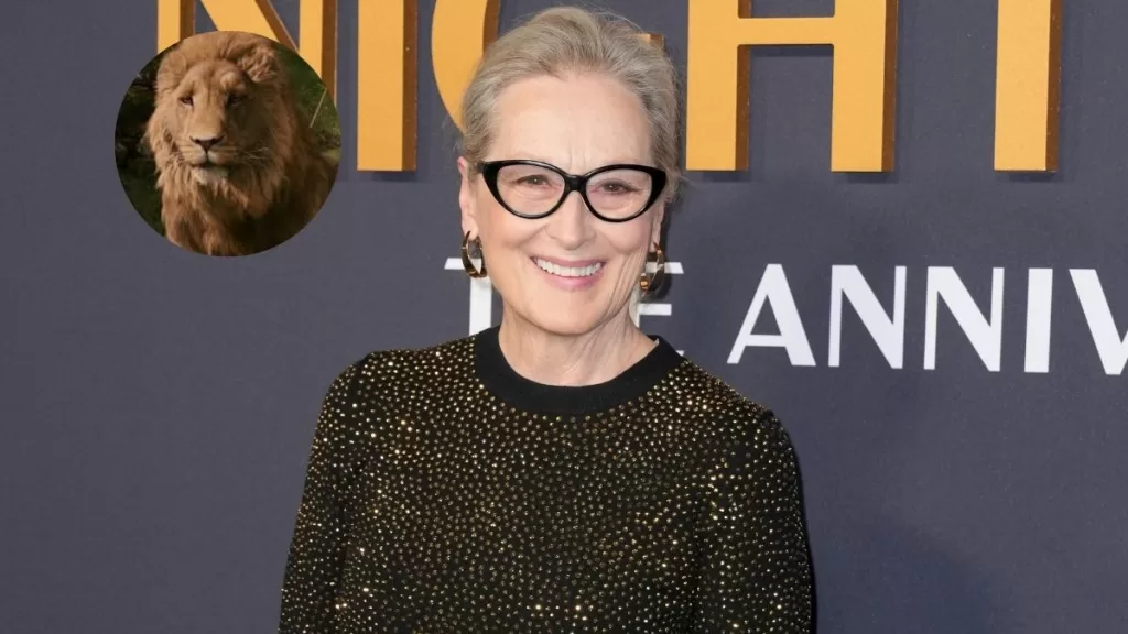 meryl streep aslan