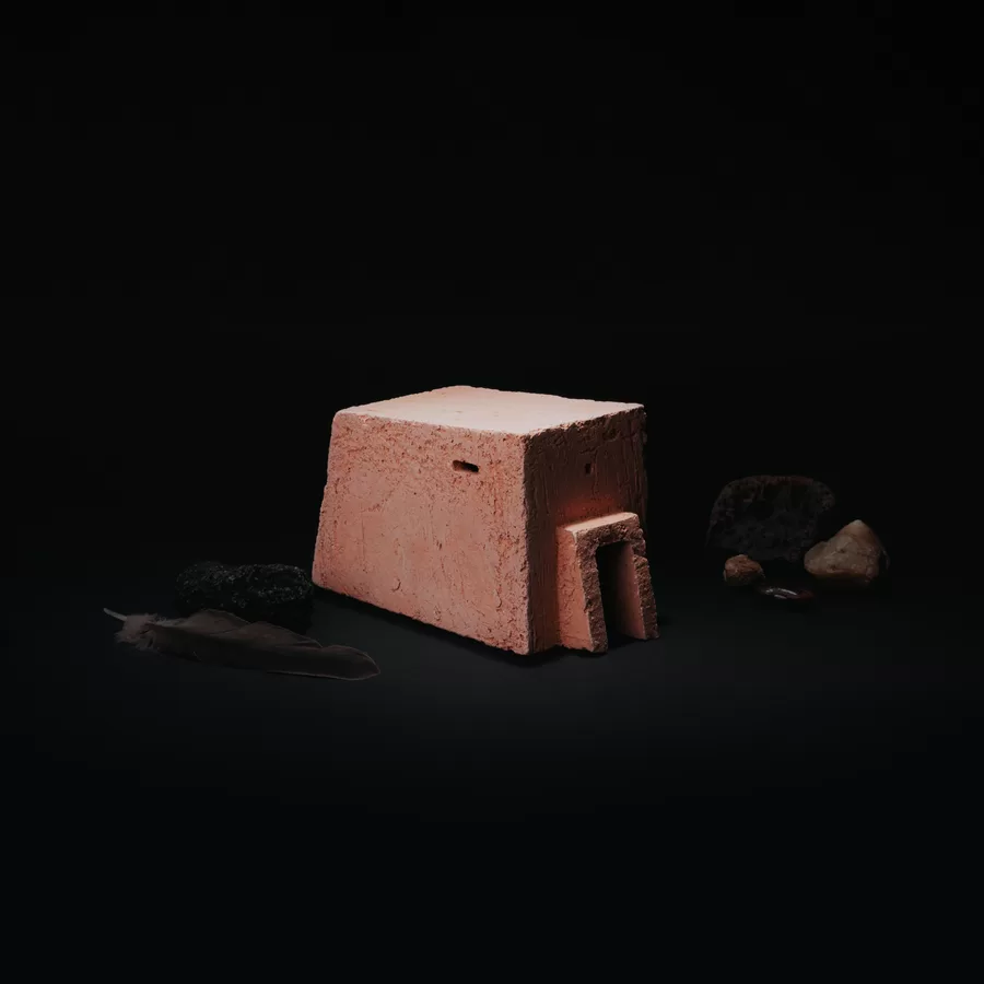 Donde las serpientes toman el sol