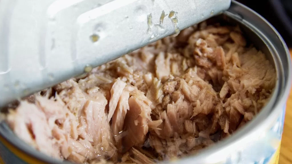 Jurel en lata GettyImages-1392122656 web