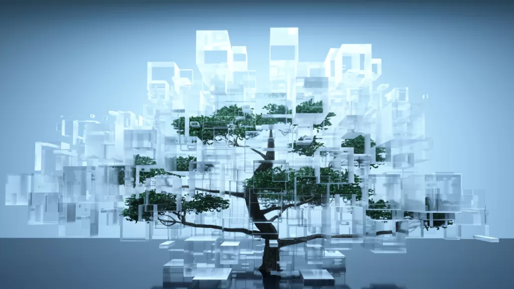 Conexión Sostenible