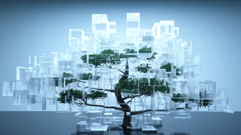 Conexión Sostenible