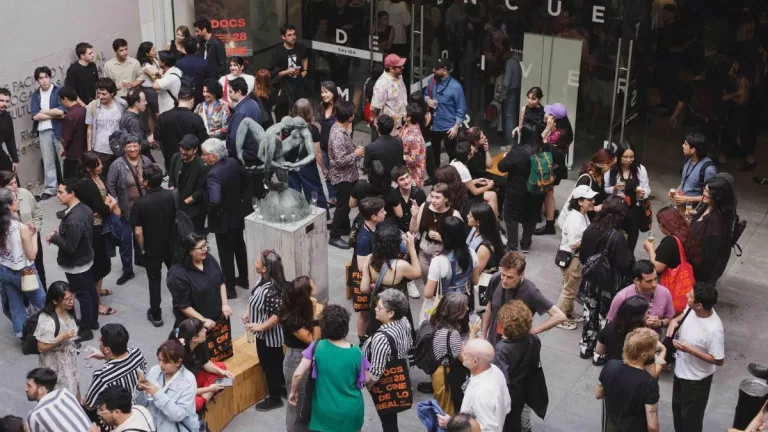 Fidocs-2024-1 gráfica