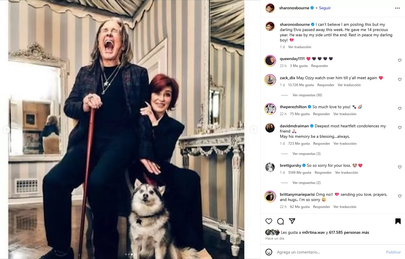 Sharon Osbourne husky