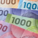 Subsidio de Discapacidad