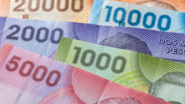 Subsidio de Discapacidad