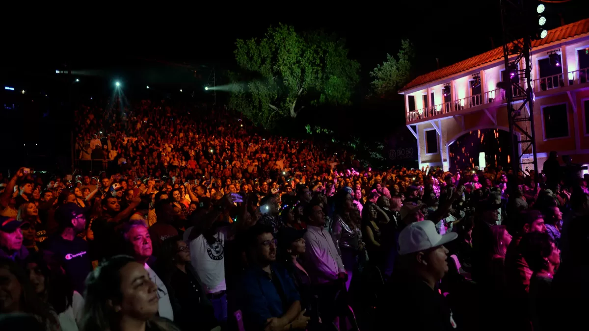 Festival del Huaso de Olmué 2026: ¿Qué artistas se presentan este ...
