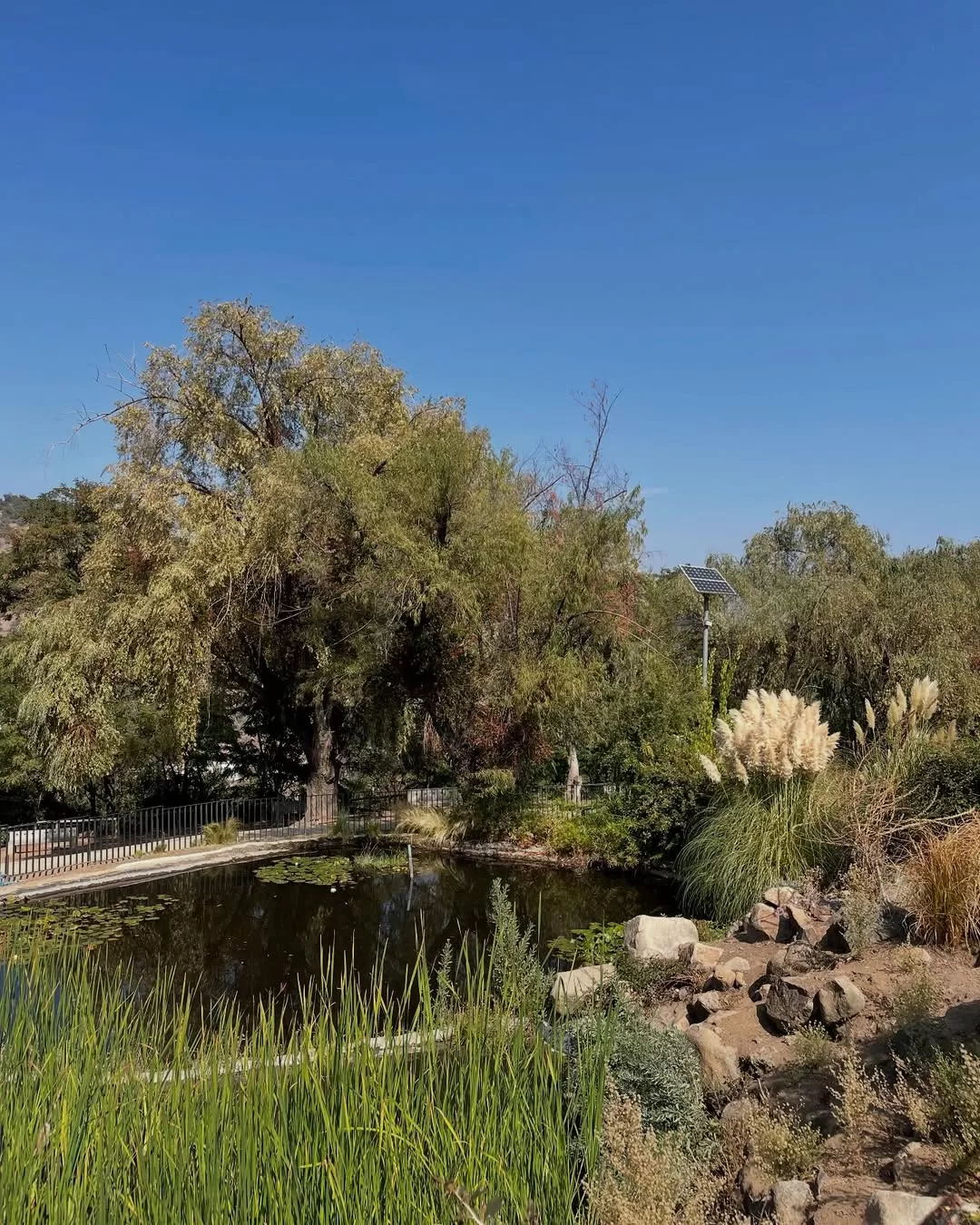 Humedal Kochu Co, Bosque Santiago