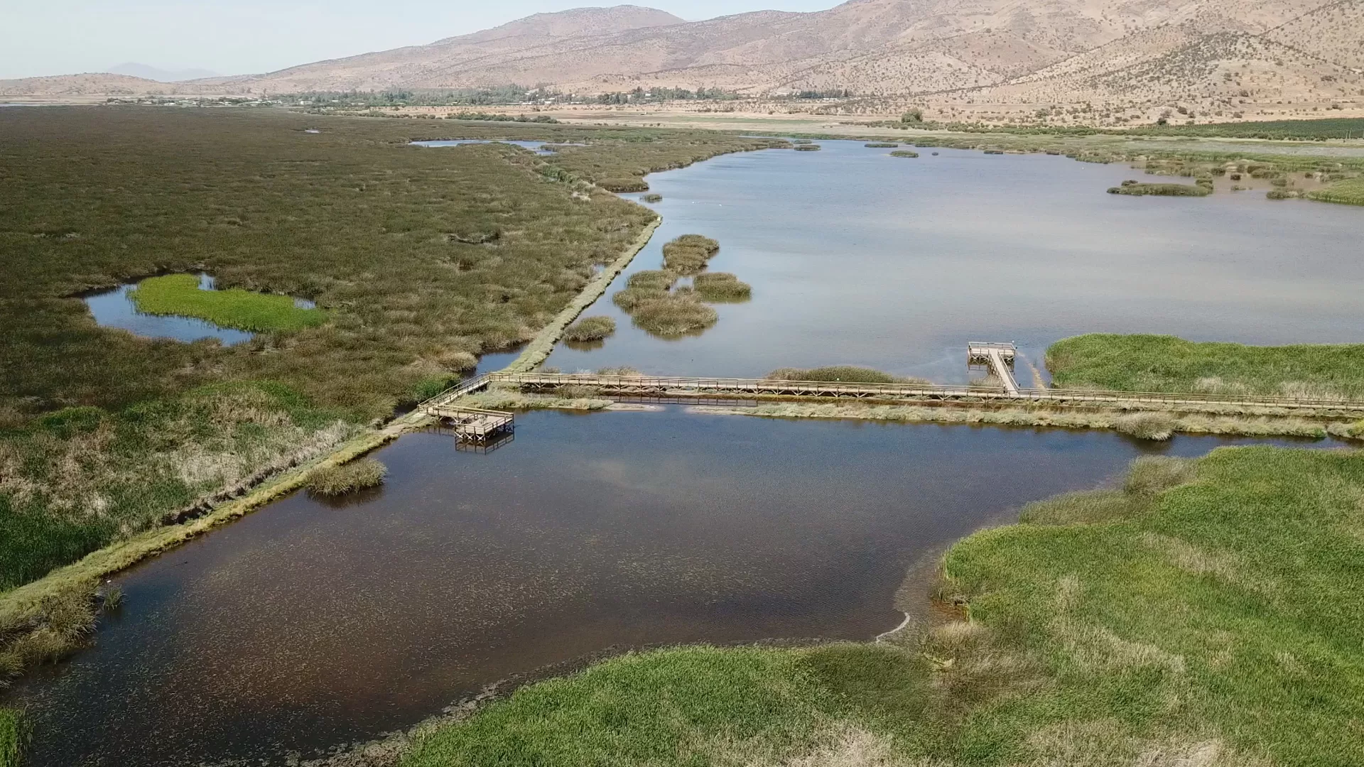 Humedal batuco visit Santiago