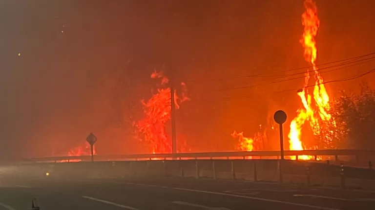Incendios Forestales