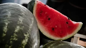 Panorama fiesta de la sandía