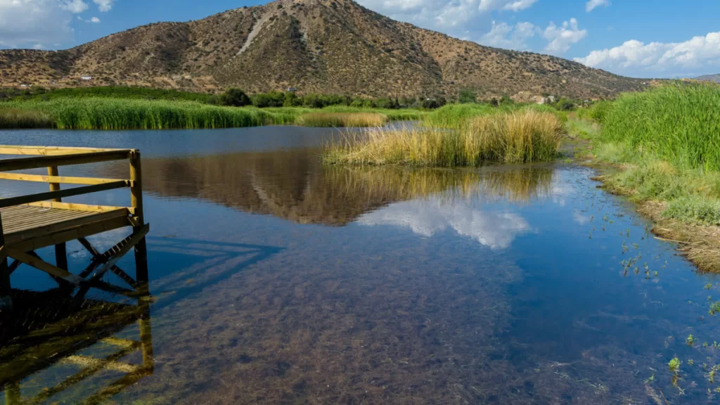 Panorama laguna de batuco