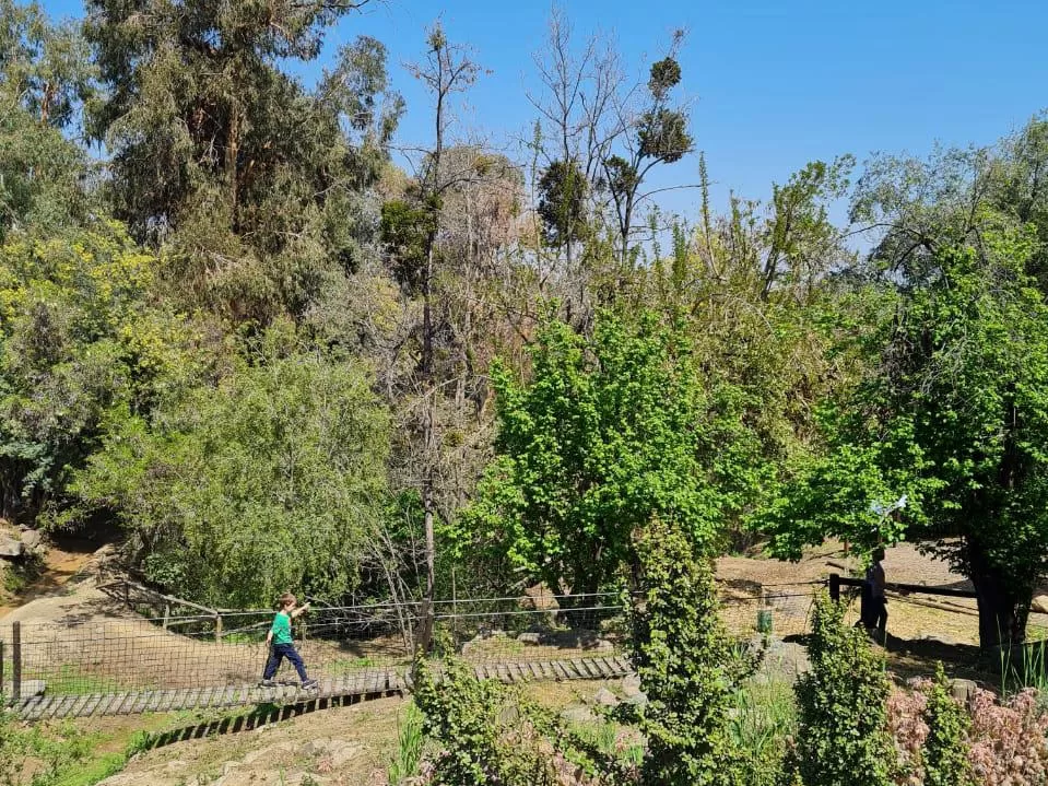 Parque Bosque Santiago